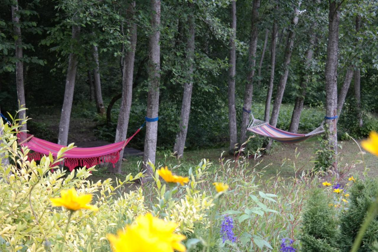Latava Villa Anykščiai Екстериор снимка